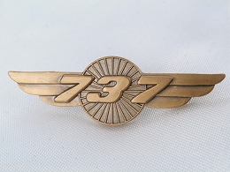 【BOEING】　ボーイング 737 ウイングピン