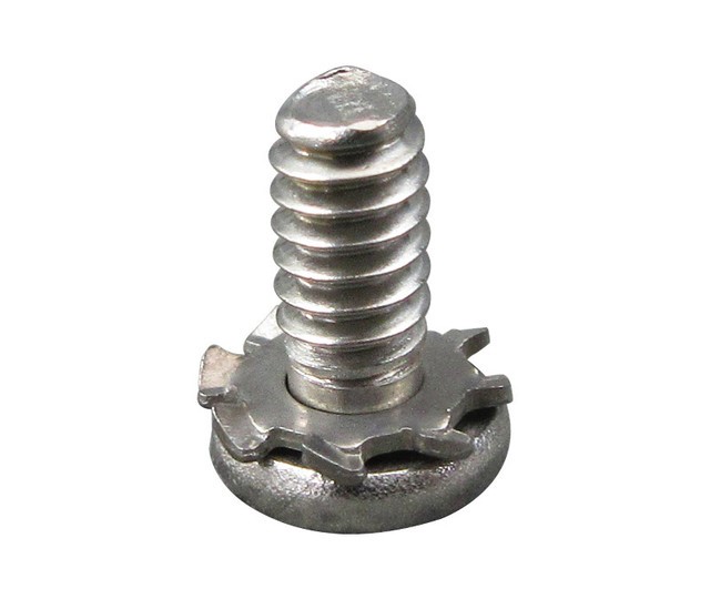 DAVID CLARK SCREW (13180P-03) 1個