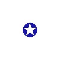 STARS & BARS-1942-1943 スタイル 10"