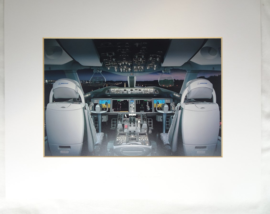 Boeing787　フライトマッドプリント