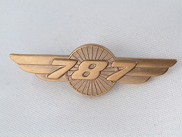 【BOEING】　ボーイング 787 ウイングピン